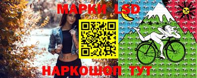 эйфоретик Пушкино