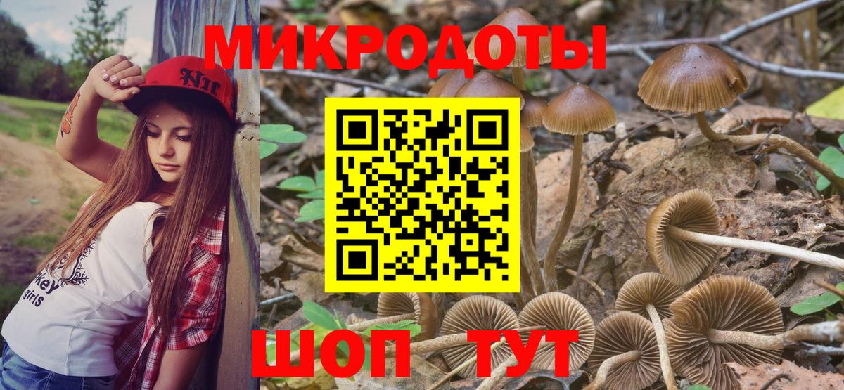 Галлюциногенные грибы Psilocybe  Вход с VPN  купить наркотик  Россошь 