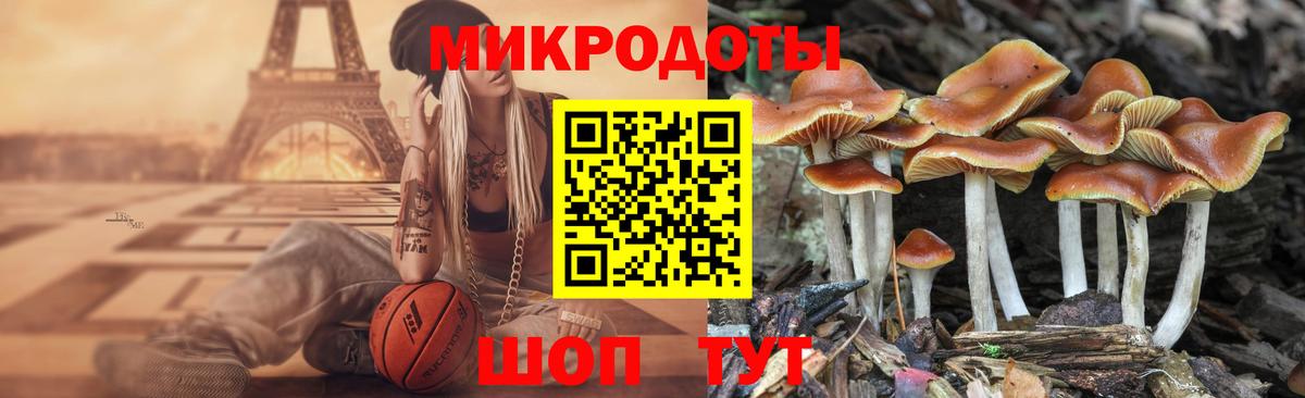 Галлюциногенные грибы мицелий Россошь